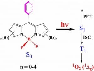 Abstract Figure-Singlet Oxygen Generation and Triplet Excited State Spectra of Brominated BODIPY