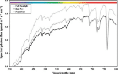 Sunburn control by nets differentially affects the antioxidant properties of fruit peel in ‘Gala’ and ‘Fuji’ apples