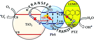 Exciton dissociation in an NIR-active triohybrid nanocrystal leading to efficient generation of reactive oxygen species