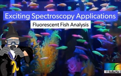 Fluorescent Fish Analysis – Exciting Spectroscopy