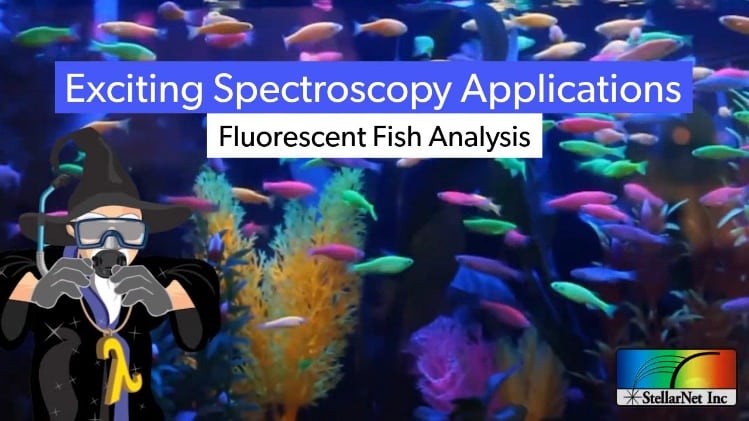 fluorescent-fish-analysis-exciting-spectroscopy-stellarnet-inc