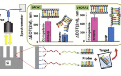 Label-free discrimination of single nucleotide changes in DNA by reflectometric interference Fourier transform spectroscopy