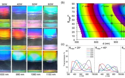 Multifaceted Structurally Coloured Materials: Diffraction and Total Internal Reflection (TIR) from Nanoscale Surface Wrinkling