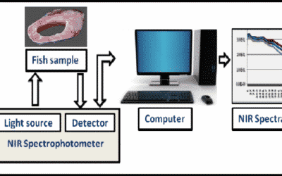 Fish Freshness Assessment using NIR spectroscopy