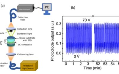 Novel easy to fabricate liquid crystal composite with potential for electrically or thermally controlled transparency windows