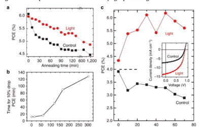 Monitoring the freshness of pork during storage via near-infrared  spectroscopy based on colorimetric sensor array coupled with efficient  multivariable calibration