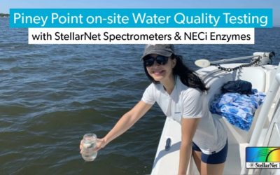 Piney Point on-site Water Quality Testing using StellarNet UV-VIS Spectrometers