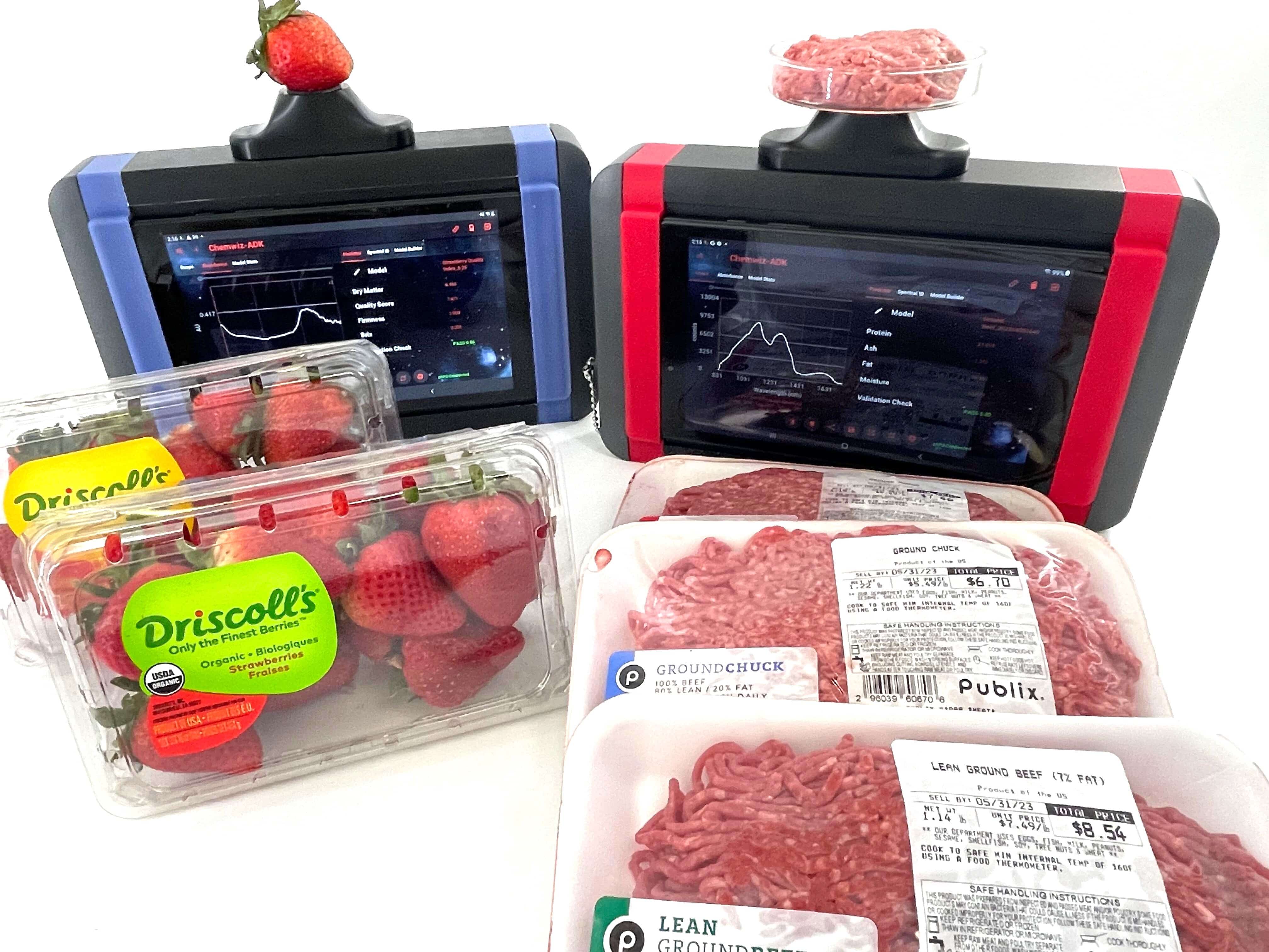 summer-spectroscopy-bbq-quality-analysis-of-meats-and-fresh-fruits