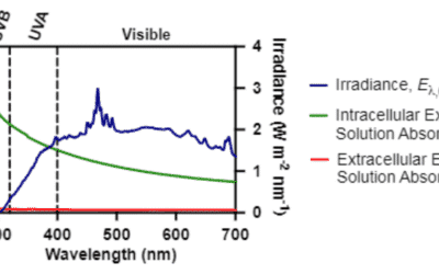 Sunlight Photolysis of Extracellular and Intracellular Antibiotic Resistance Genes tetA and sul2 in Photosensitizer-Free Water