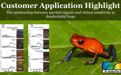 The relationship between spectral signals and retinal sensitivity in dendrobatid frogs