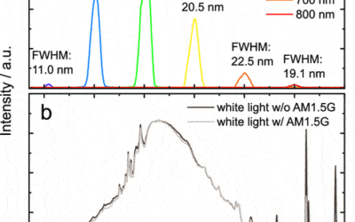 Accessing In Situ Photocorrosion under Realistic Light Conditions: Photoelectrochemical Scanning Flow Cell Coupled to Online ICP-MS