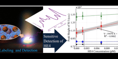 Sensitive Detection of the Human Epididymis Protein-4 (HE4) Ovarian Cancer Biomarker through a Sandwich-Type Immunoassay Method with Laser-Induced Breakdown Spectroscopy