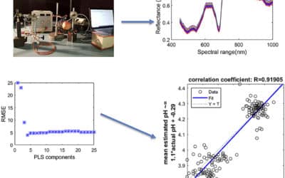 Non-destructive visible and short-wave near-infrared spectroscopic data estimation of various physicochemical properties of Fuji apple (Malus pumila) fruits at different maturation stages