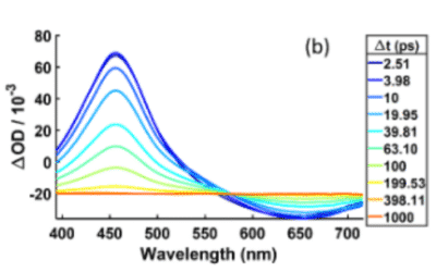 Intramolecular Photoinduced Charge Transfer and Recombination Dynamics in Vinylarene Terminated Organosilanes