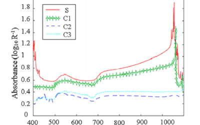 Achieving a robust Vis/NIR model for microbial contamination detection of Persian leek by spectral analysis based on genetic, iPLS algorithms and VIP scores