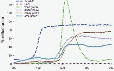 Can the Addition of Odor and Visual Targets Enhance Attraction of the Asian Citrus Psyllid (Hemiptera: Liviidae) to Sticky Traps?