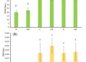 Synergistic effects of biochar and biostimulants on nutrient and toxic element uptake by pepper in contaminated soils