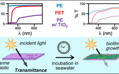 Product Formulation Controls the Impact of Biofouling on Consumer Plastic Photochemical Fate in the Ocean